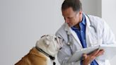 Pet insurance dos and don'ts owners should know