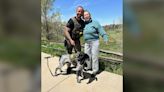 K-9 finds missing 85-year-old ‘clinging to a tree’ in Colorado
