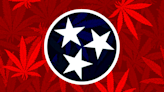 Majority of Tennessee voters favor legalizing recreational cannabis | Vanderbilt Poll