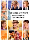 The Second Best Exotic Marigold Hotel