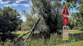 Germany’s Sanssouci Park seeks solutions as trees struggle with effects of climate change