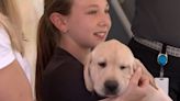 Future guide dogs head home with volunteer puppy raisers