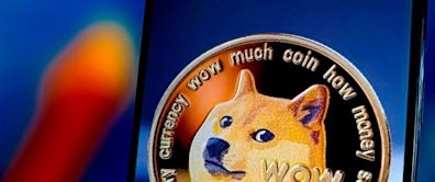 RIP Kabosu, the celebrity canine who became the face of Dogecoin