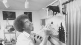 Bob Ross Painting Is for Sale at an Eye-Popping Price