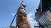 屏東看海美術館吹落山風 14米高作品"擁抱貓咪"暫罷工