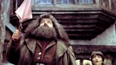Daniel Radcliffe Remembers 'Incredibly Funny' Robbie Coltrane: 'Very Sad He's Gone'
