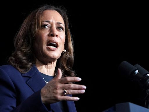 Kamala Harris Came Within 20 Feet of a Pipe Bomb on Jan. 6