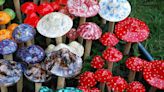 Poison control centers warn about dangerous mushroom infused edibles