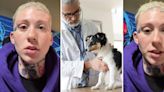 ‘Was he alive when you brought him in?’: Pet owner issues warning about the vet after failed diagnosis