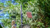 12 Types of Bird Feeders Every Backyard Birder Should Know