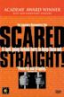 Scared Straight!