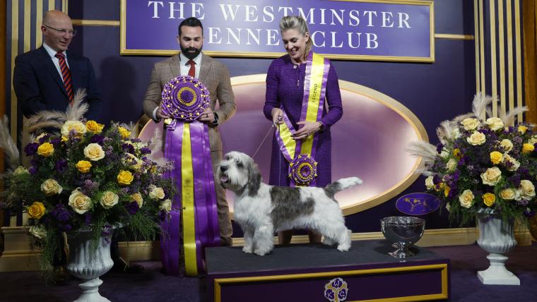 Westminster Dog Show schedule 2024: Dates, times, TV channels, live stream & list of past winners | Sporting News Canada