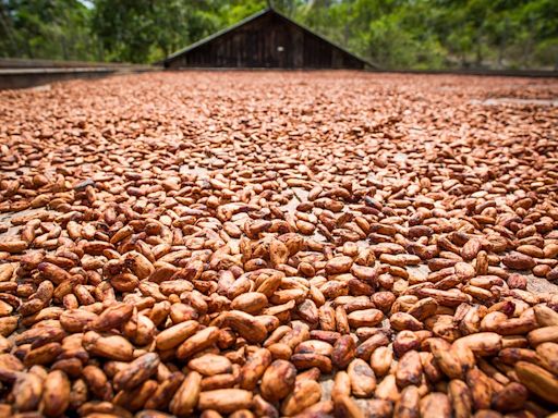 Preços das commodities agrícolas recuam em Nova York