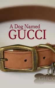 A Dog Named Gucci