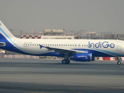 IndiGo continues to fly higher fuelled by Q1 FY25 numbers
