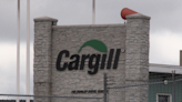 Beef farmers worry about impact of ongoing Cargill strike in Guelph, Ont.