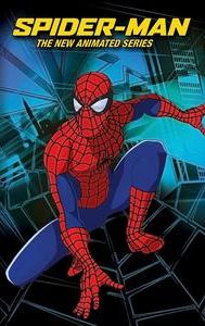 Spider-Man: The New Animated Series