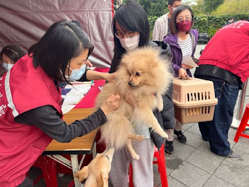 928世界狂犬病日！中和四號公園辦「毛孩音樂會」 免費零食試吃