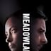 Meadowland (film)