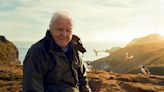 David Attenborough's first trailer for Wild Isles shows stunning UK scenes