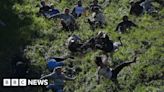 Cheese rolling in pictures: Champions crowned after cheese chase