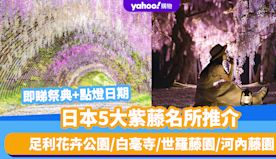 日本旅遊｜5大紫藤名所推介！足利花卉公園/白毫寺/世羅藤園/河內...