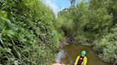 Look: Two cows rescued from river in England