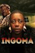 Ingoma