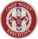Chief Scout Executive