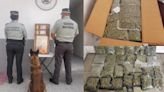 Asegura GN 12 kilos de marihuana en aeropuerto de SLP