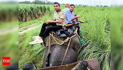 Forest Officials Face Challenges In Tranquilising Man-eater Tiger | Bareilly News - Times of India