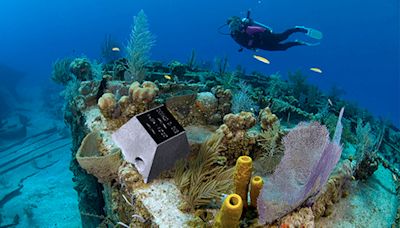 Gloucester’s Reef in Peace offers underwater memorial as eco-friendly burial alternative