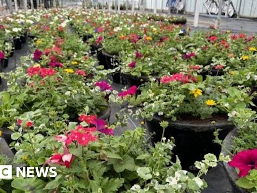 Shrewsbury to re-enter Britain in Bloom