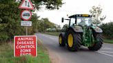 Bird flu prevention zone declared across Britain in ‘devastating’ outbreak