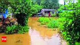 Minor landslips and tree uprooting in Gudalur and Pandalur | Coimbatore News - Times of India