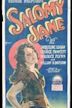 Salomy Jane (1923 film)
