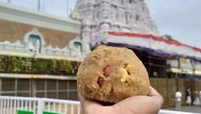 Tirupati Laddoo Row: TTD To Introduce In-House Adulteration Testing Facility Soon