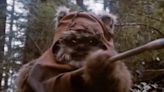 Warwick Davis Would Love to Resurrect Star Wars Cult Obsession Return of the Ewok