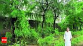 Trees saved from axe in 2020 shield Vadodara housing society from crippling floods - Times of India