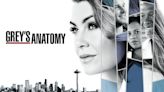 Grey’s Anatomy Season 14 Streaming: Watch & Stream Online via Netflix