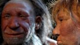 ¿Cómo cocinaban los neandertales? Los científicos lo investigan metiéndose en ‘la cocina’