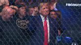 Trump recibe vítores y aplausos en pelea de la UFC, a días de ser declarado culpable por el caso Stormy Daniels | El Universal