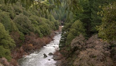 The Tahoe National Forest is tinder dry as Royal Fire still burns