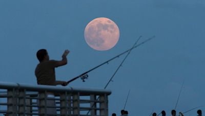 Full moon in September is a Harvest supermoon. When to see it, why it's different