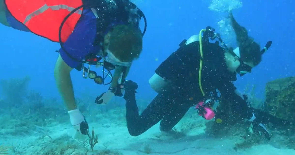 600 scuba divers, voluteers help remove Florida Keys underwater, coastal debris