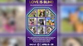 HHS ‘Love is Blind’ matchmaking initiative pairs shelter dogs with foster homes