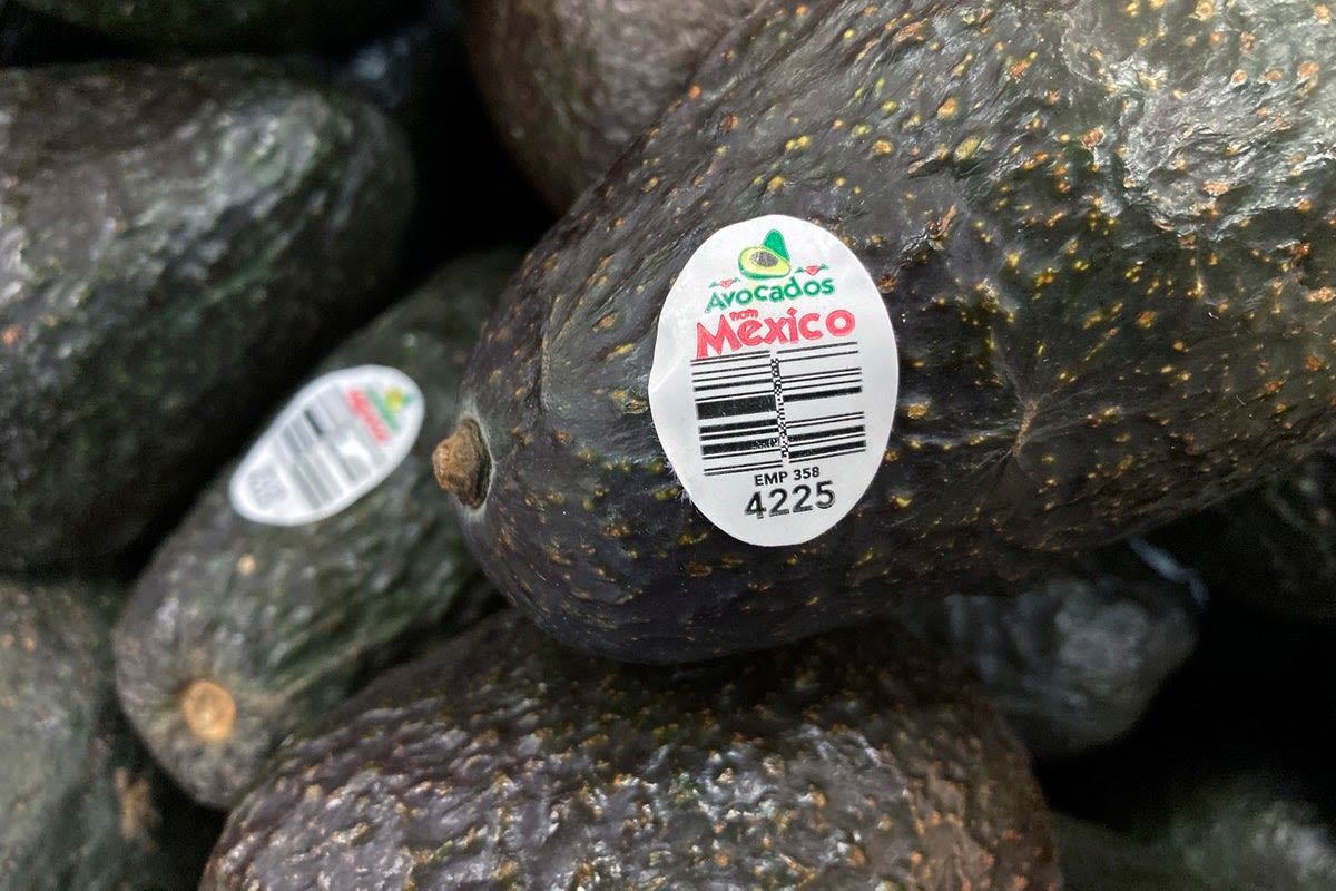 Avocado prices could spike as attacks on US workers amid Mexico cartel violence see inspections halted