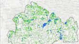 New Surrey map shows when your overgrown grass verge is due to be cut