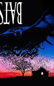 Bats (film)