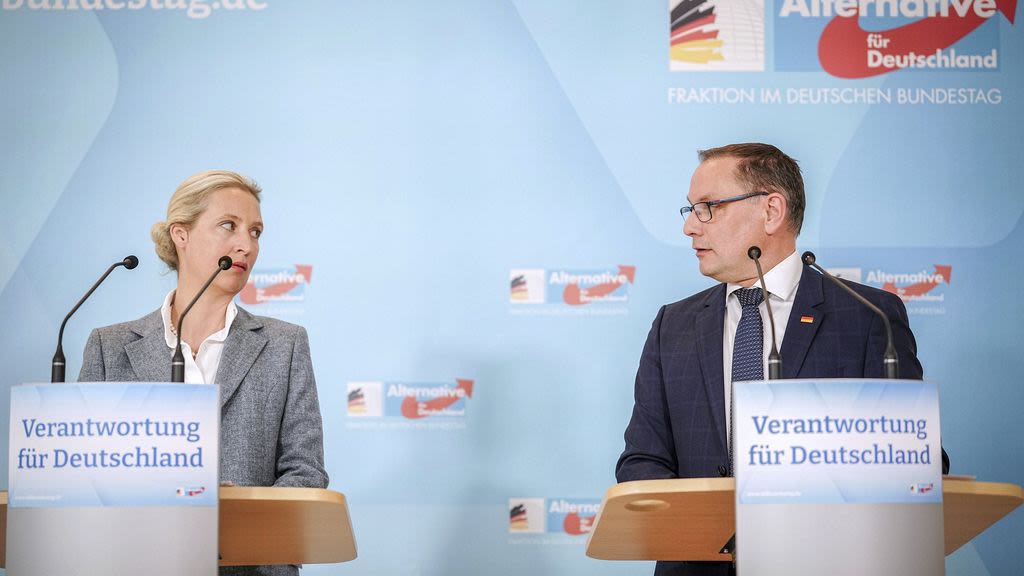 AfD classified as 'suspected extremist' organisation after court defeat